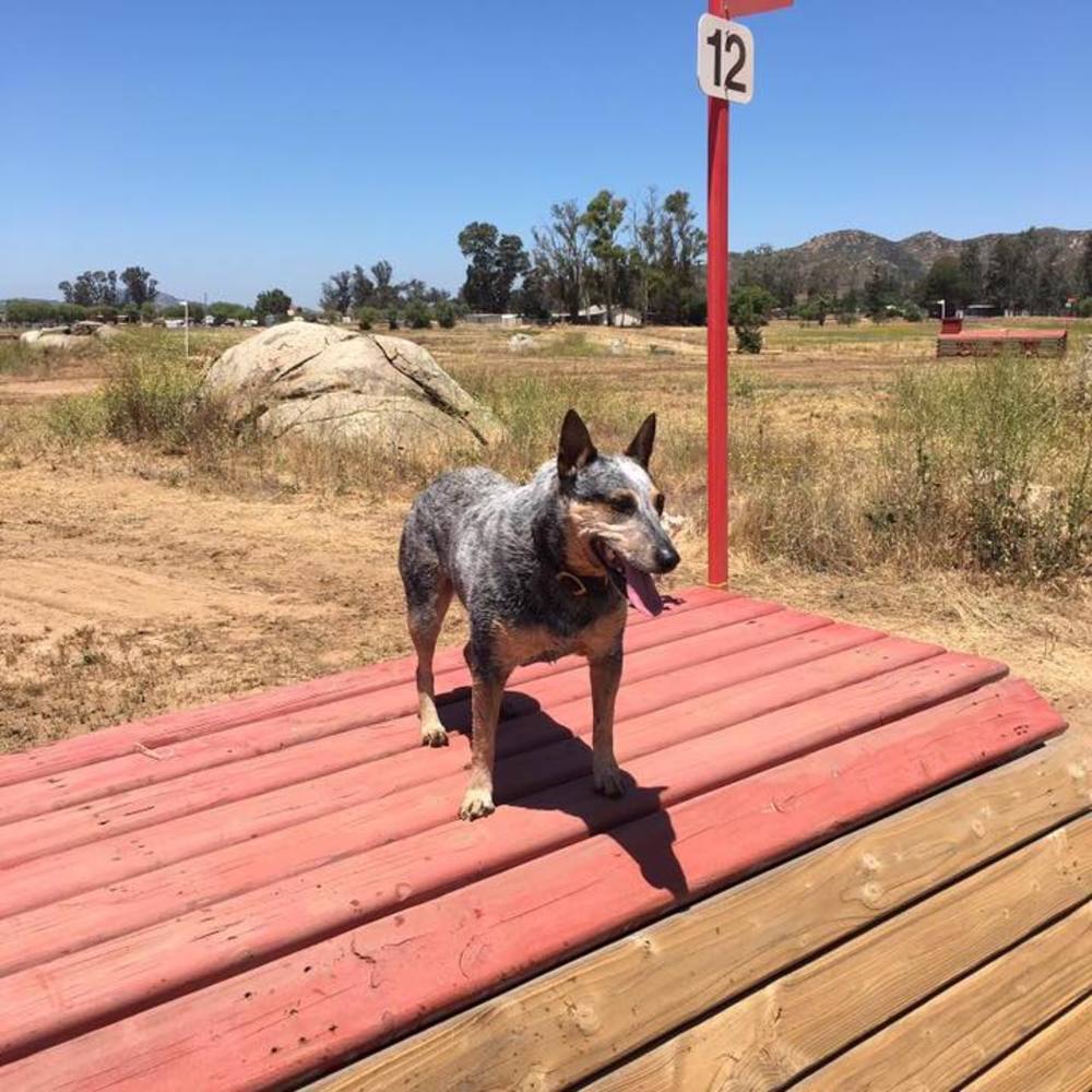 Meet your Posher, Kathy